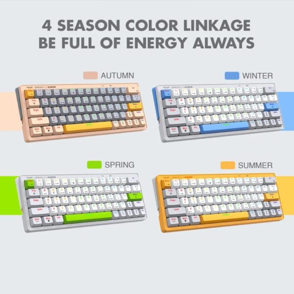 Keyboard-GMK-100 4 Colors
