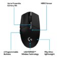 mouse-G304.jpg