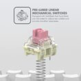 Keyboard-GMK-100 Switches